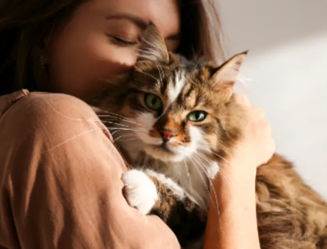 Woman Hugging a Brown Cat